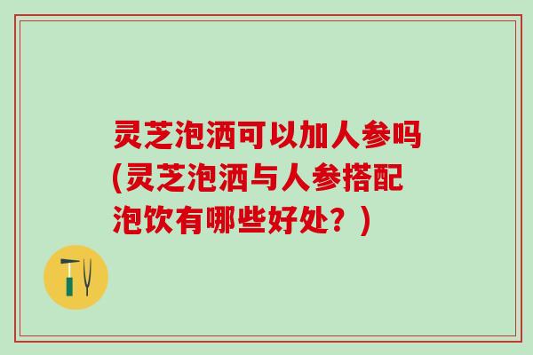 灵芝泡洒可以加人参吗(灵芝泡洒与人参搭配泡饮有哪些好处？)