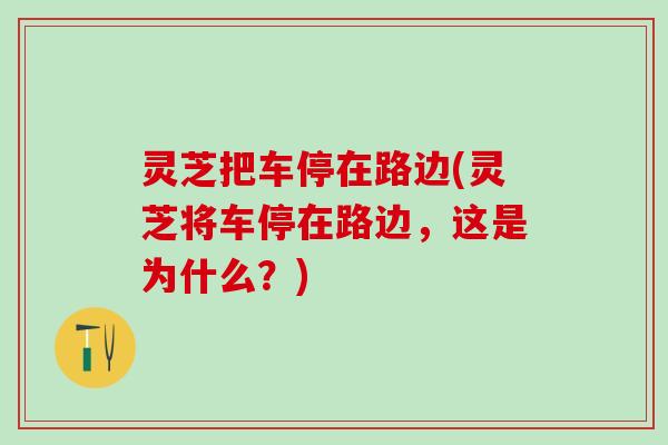 灵芝把车停在路边(灵芝将车停在路边，这是为什么？)