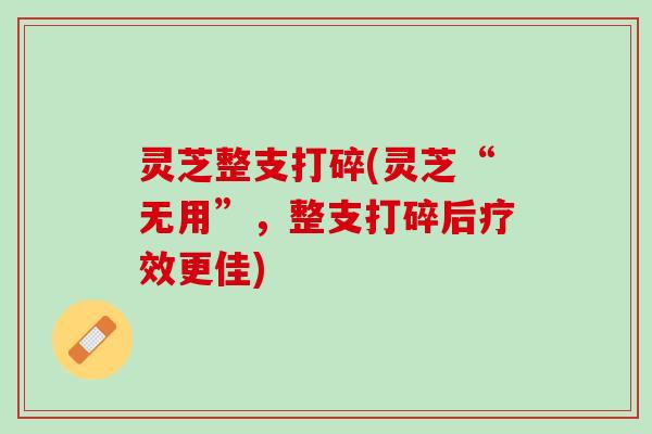 灵芝整支打碎(灵芝“无用”,整支打碎后疗效更佳) 灵芝整支打碎(灵芝“无用”,整支打碎后疗效更佳)