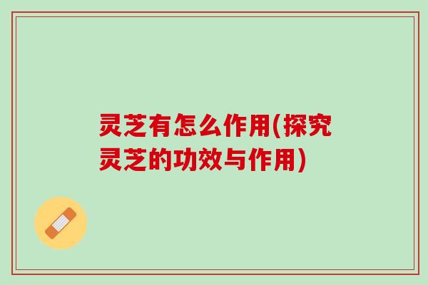 灵芝有怎么作用(探究灵芝的功效与作用)