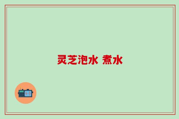 灵芝泡水 煮水