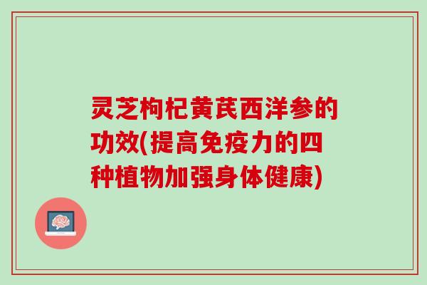 灵芝枸杞黄芪西洋参的功效(提高免疫力的四种植物加强身体健康)