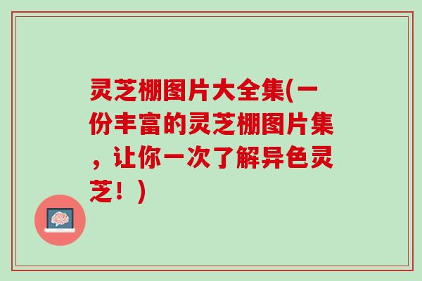 灵芝棚图片大全集(一份丰富的灵芝棚图片集，让你一次了解异色灵芝！)