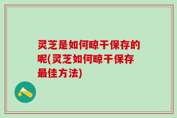 灵芝是如何晾干保存的呢(灵芝如何晾干保存最佳方法)