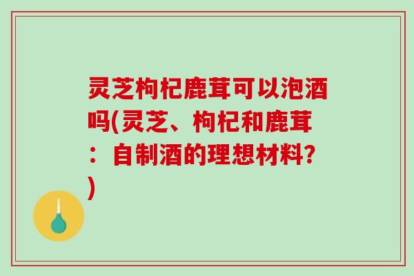 灵芝枸杞鹿茸可以泡酒吗(灵芝、枸杞和鹿茸：自制酒的理想材料？)