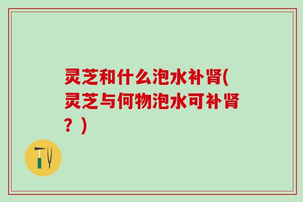 灵芝和什么泡水补肾(灵芝与何物泡水可补肾？)