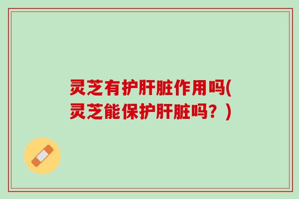 灵芝有护肝脏作用吗(灵芝能保护肝脏吗？)