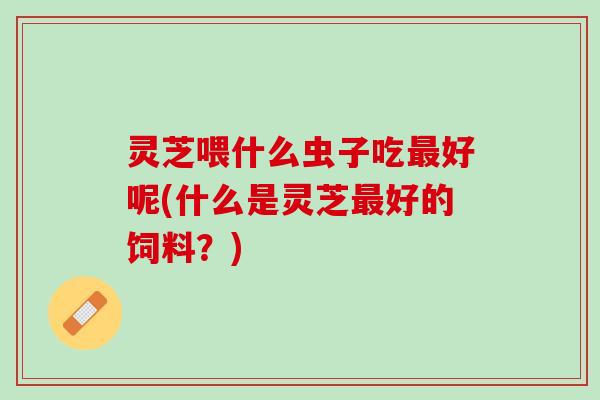 灵芝喂什么虫子吃最好呢(什么是灵芝最好的饲料？)