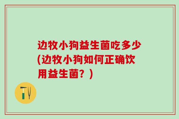 边牧小狗益生菌吃多少(边牧小狗如何正确饮用益生菌？)