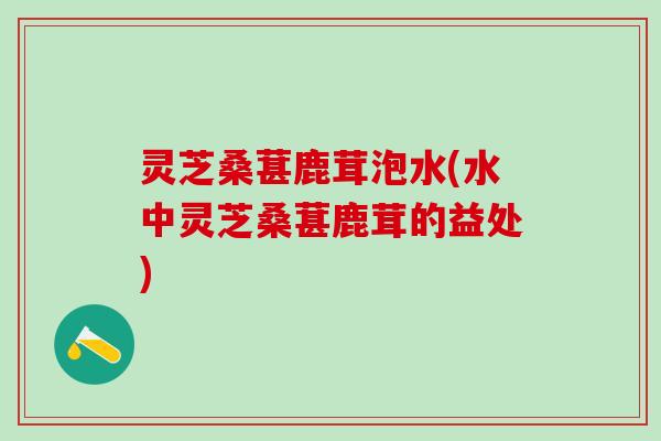 灵芝桑葚鹿茸泡水(水中灵芝桑葚鹿茸的益处)