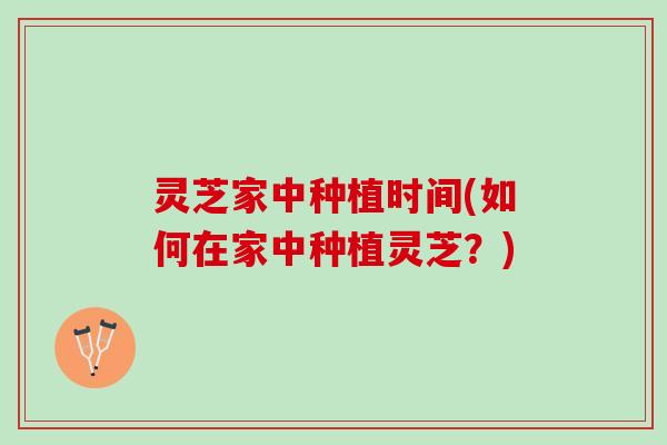 灵芝家中种植时间(如何在家中种植灵芝？)