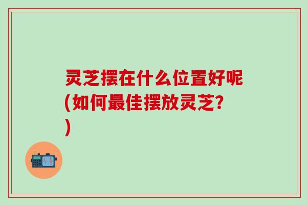 灵芝摆在什么位置好呢(如何最佳摆放灵芝？)
