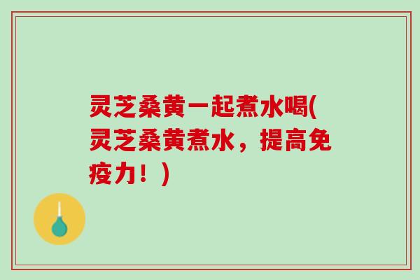 灵芝桑黄一起煮水喝(灵芝桑黄煮水，提高免疫力！)