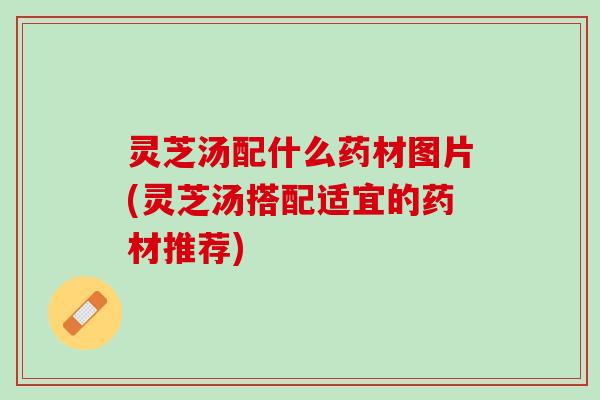 灵芝汤配什么药材图片(灵芝汤搭配适宜的药材推荐)