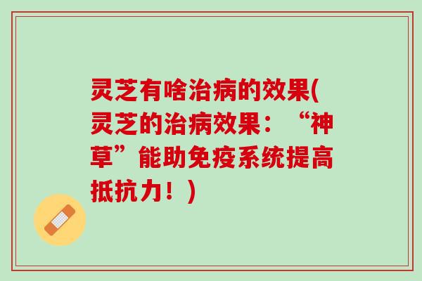 灵芝有啥治病的效果(灵芝的治病效果：“神草”能助免疫系统提高抵抗力！)