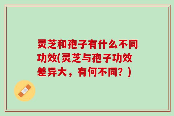 灵芝和孢子有什么不同功效(灵芝与孢子功效差异大，有何不同？)