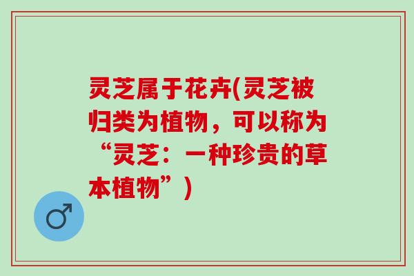 灵芝属于花卉(灵芝被归类为植物，可以称为“灵芝：一种珍贵的草本植物”)