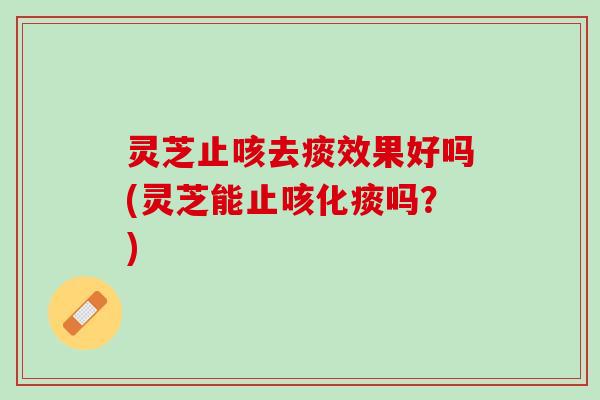 灵芝止咳去痰效果好吗(灵芝能止咳化痰吗？)