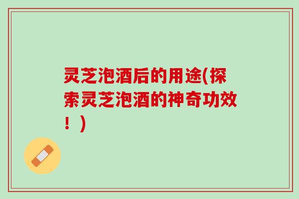 灵芝泡酒后的用途(探索灵芝泡酒的神奇功效！)