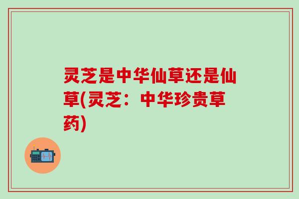 灵芝是中华仙草还是仙草(灵芝：中华珍贵草药)