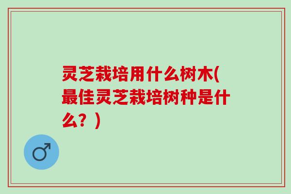 灵芝栽培用什么树木(佳灵芝栽培树种是什么?) 灵芝栽培用什么树木(佳灵芝栽培树种是什么?)