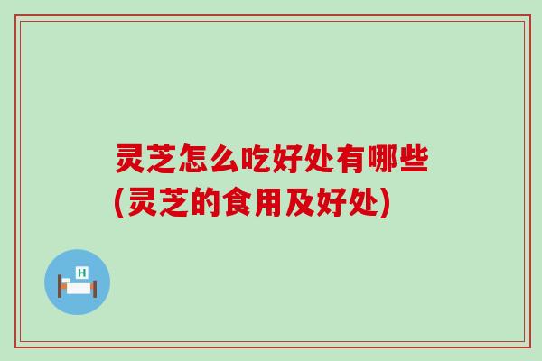 灵芝怎么吃好处有哪些(灵芝的食用及好处)