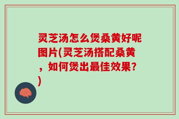 灵芝汤怎么煲桑黄好呢图片(灵芝汤搭配桑黄，如何煲出最佳效果？)