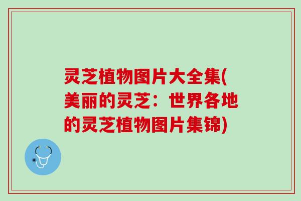 灵芝植物图片大全集(美丽的灵芝：世界各地的灵芝植物图片集锦)