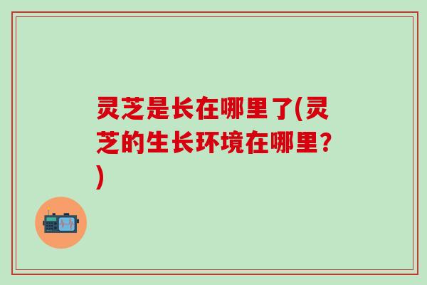 灵芝是长在哪里了(灵芝的生长环境在哪里？)
