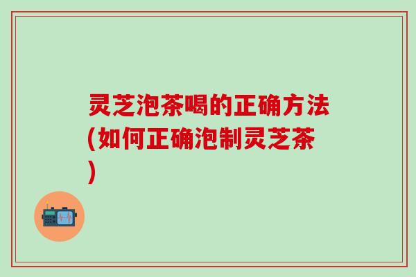 灵芝泡茶喝的正确方法(如何正确泡制灵芝茶)