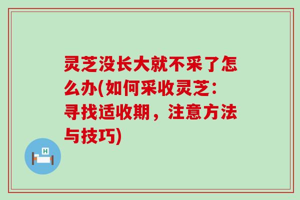 灵芝没长大就不采了怎么办(如何采收灵芝：寻找适收期，注意方法与技巧)
