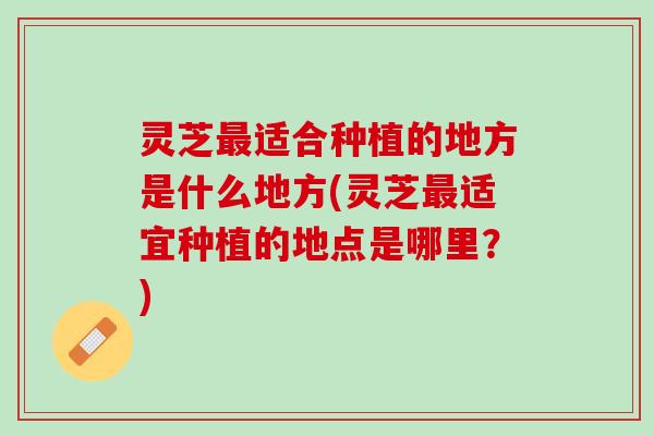 灵芝最适合种植的地方是什么地方(灵芝最适宜种植的地点是哪里？)