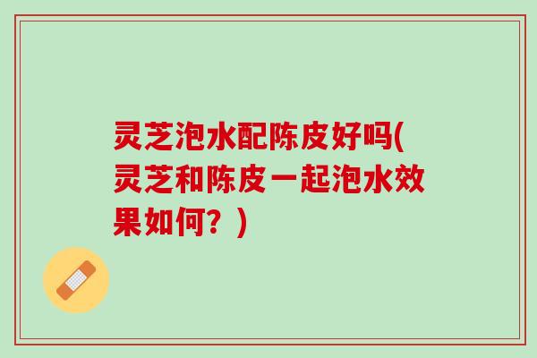 灵芝泡水配陈皮好吗(灵芝和陈皮一起泡水效果如何?) 灵芝泡水配陈皮好吗(灵芝和陈皮一起泡水效果如何?)