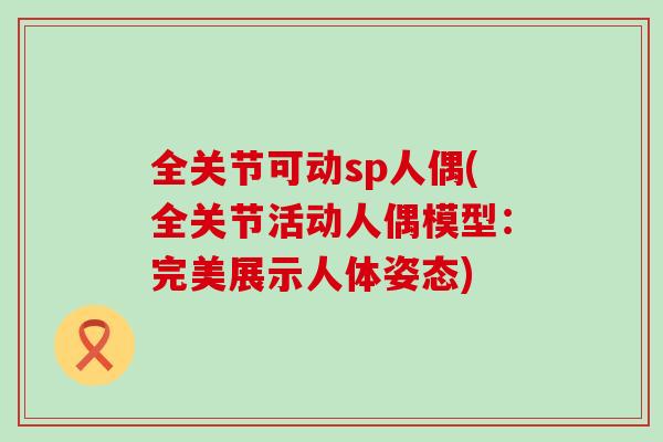 全关节可动sp人偶(全关节活动人偶模型：完美展示人体姿态)