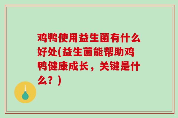 鸡鸭使用益生菌有什么好处(益生菌能帮助鸡鸭健康成长，关键是什么？)