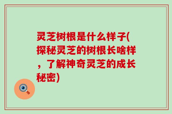 灵芝树根是什么样子(探秘灵芝的树根长啥样，了解神奇灵芝的成长秘密)