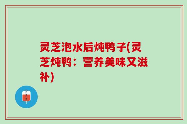 灵芝泡水后炖鸭子(灵芝炖鸭：营养美味又滋补)