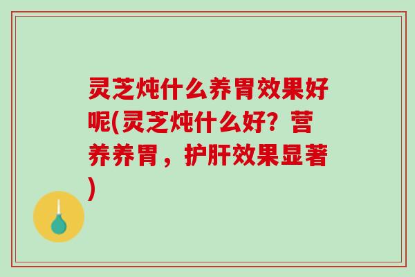 灵芝炖什么养胃效果好呢(灵芝炖什么好？营养养胃，护肝效果显著)