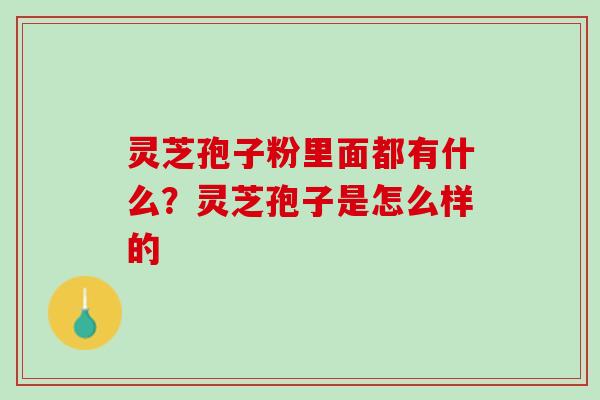 灵芝孢子粉里面都有什么？灵芝孢子是怎么样的
