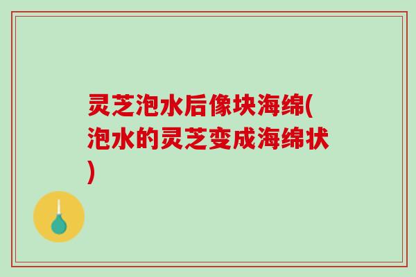 灵芝泡水后像块海绵(泡水的灵芝变成海绵状)