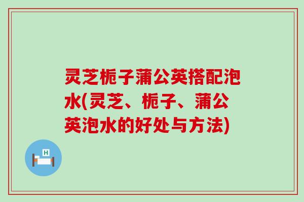 灵芝栀子蒲公英搭配泡水(灵芝、栀子、蒲公英泡水的好处与方法)