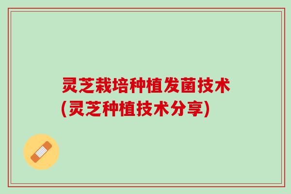 灵芝栽培种植发菌技术(灵芝种植技术分享) 灵芝栽培种植发菌技术(灵芝种植技术分享)