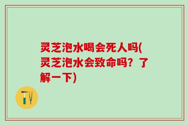 灵芝泡水喝会死人吗(灵芝泡水会致命吗？了解一下)