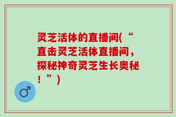 灵芝活体的直播间(“直击灵芝活体直播间，探秘神奇灵芝生长奥秘！”)