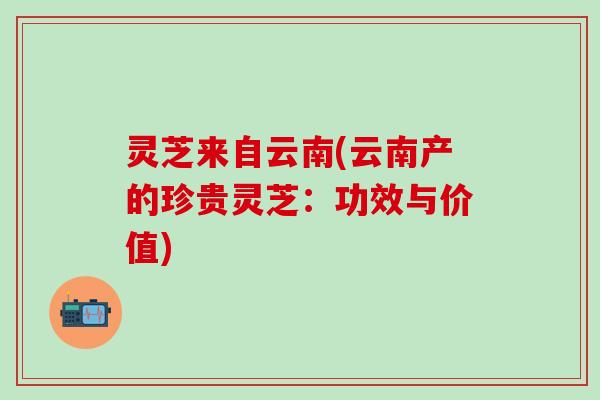 灵芝来自云南(云南产的珍贵灵芝：功效与价值)