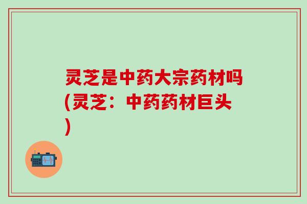 灵芝是中药大宗药材吗(灵芝：中药药材巨头)