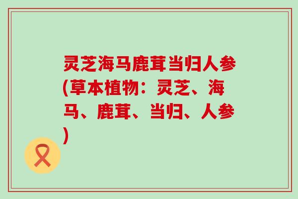 灵芝海马鹿茸当归人参(草本植物：灵芝、海马、鹿茸、当归、人参)