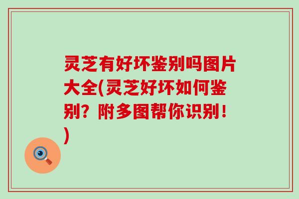 灵芝有好坏鉴别吗图片大全(灵芝好坏如何鉴别？附多图帮你识别！)