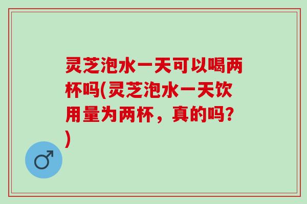 灵芝泡水一天可以喝两杯吗(灵芝泡水一天饮用量为两杯，真的吗？)