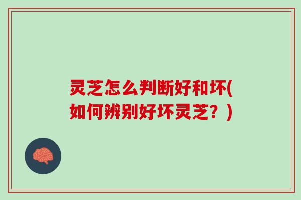灵芝怎么判断好和坏(如何辨别好坏灵芝？)